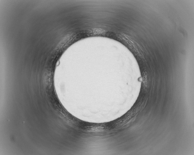 X0000115360462200912151401