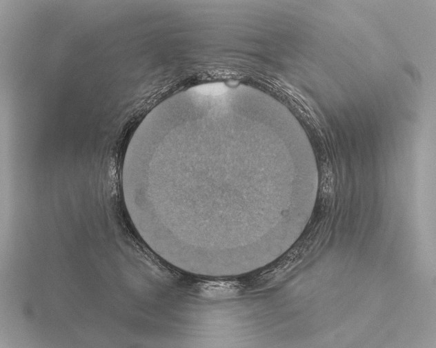 X0000115360465200912151401