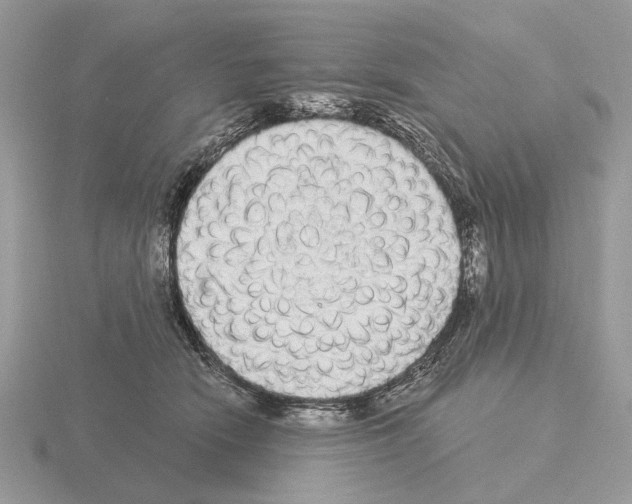 X0000115360466200912151401