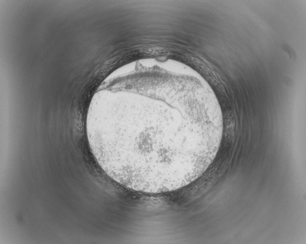 X0000115360469200912151401