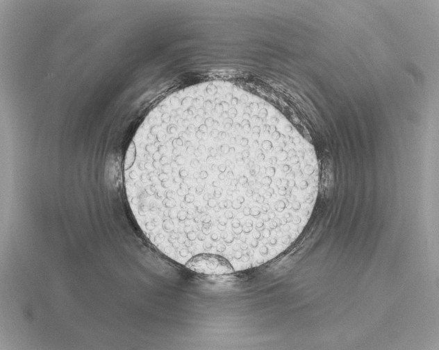 X0000115360478200912151401