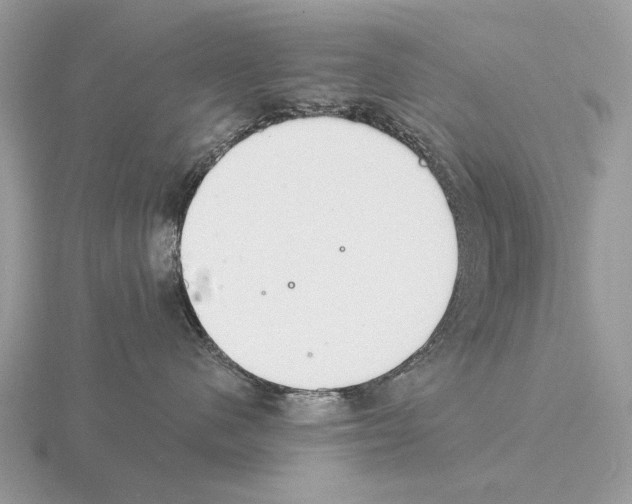 X0000115360480200912151401