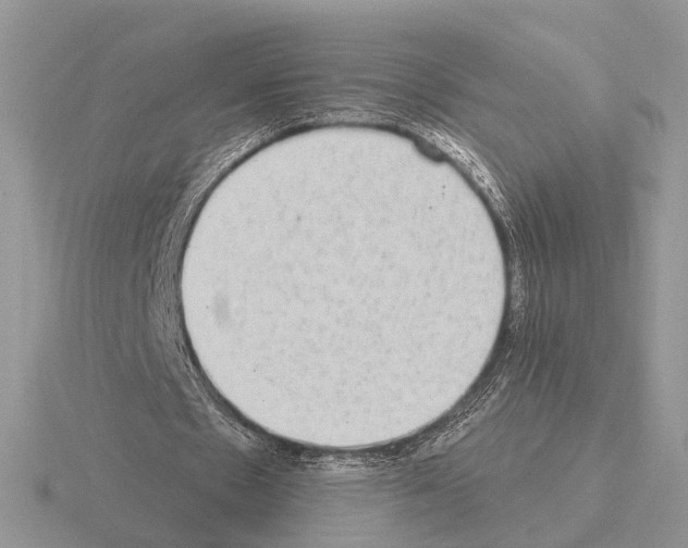 X0000115360481200912151401