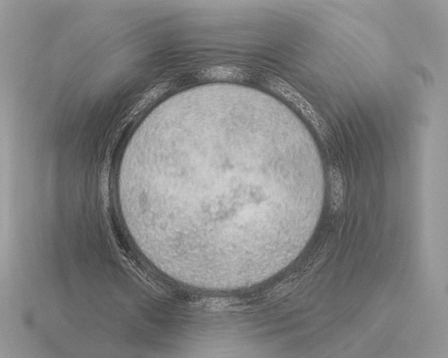 X0000115360482200912151401