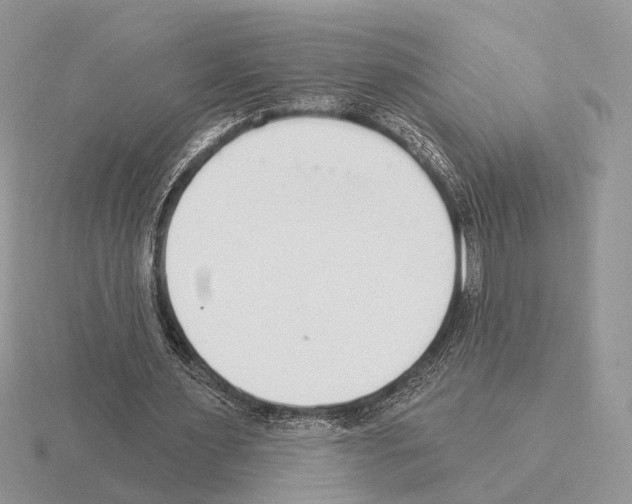X0000115360483200912151401