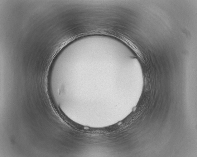 X0000115360485200912151401