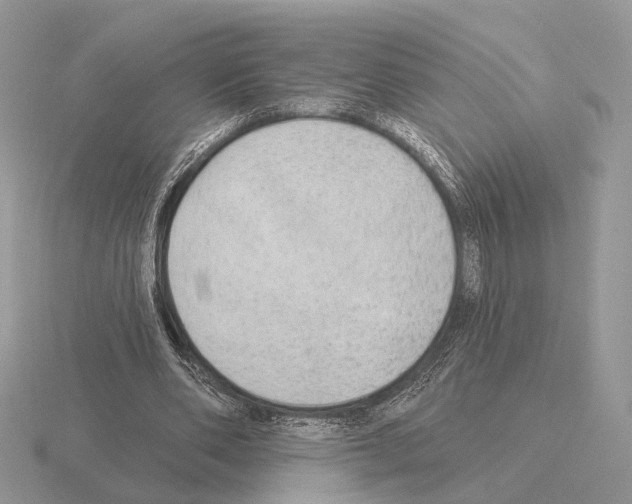 X0000115360486200912151401