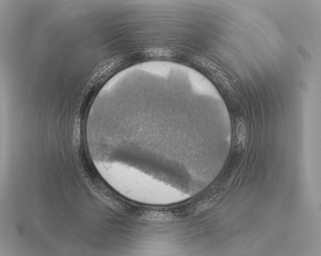 X0000115360494200912151401