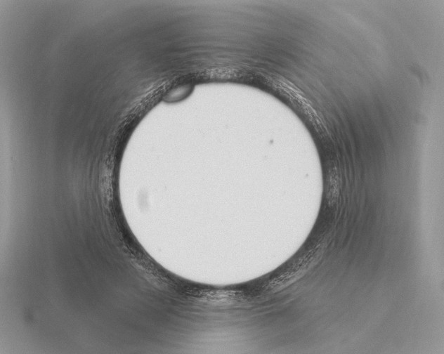 X0000115360497200912151401