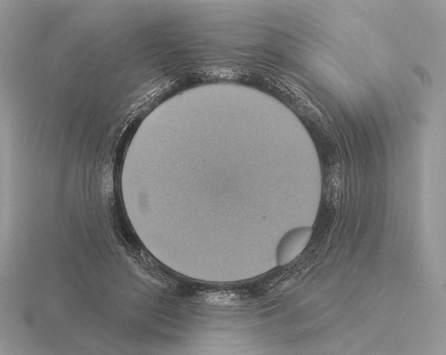 X0000115360500200912151400