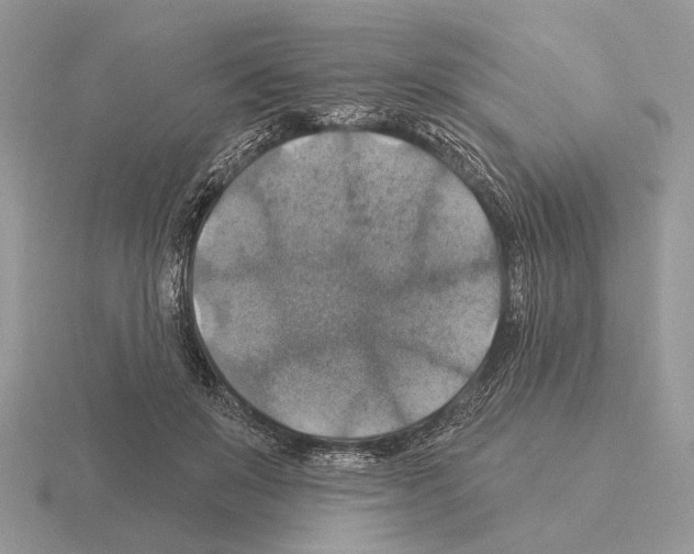 X0000115360503200912151400