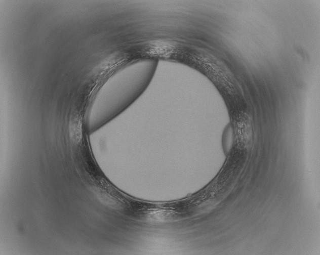 X0000115360504200912151400