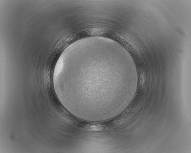 X0000115360506200912151400