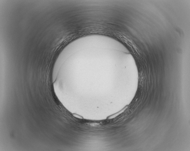 X0000115360509200912151400