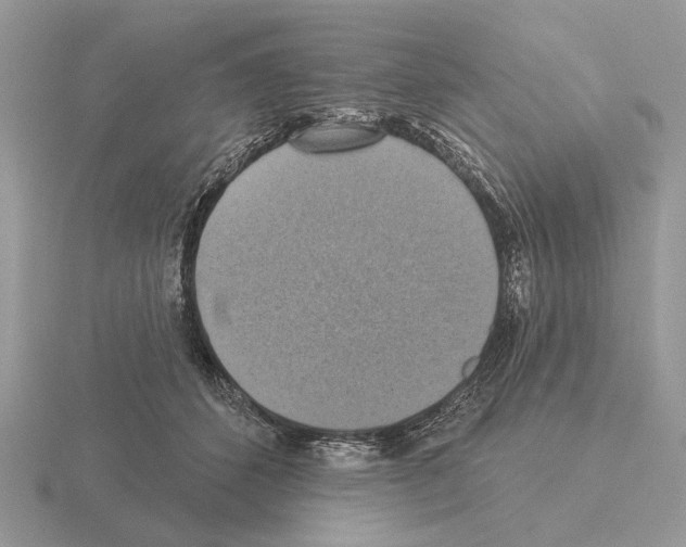 X0000115360512200912151400