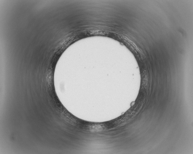 X0000115360513200912151400