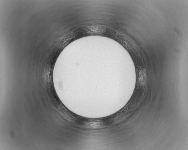 X0000115360514200912151400