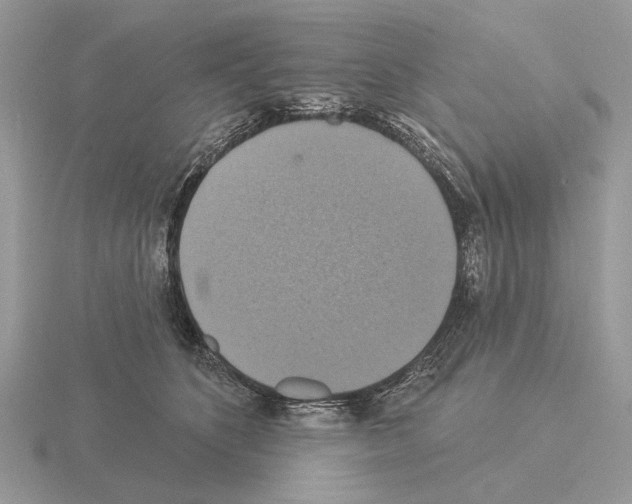 X0000115360516200912151400