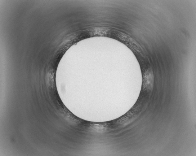 X0000115360522200912151400