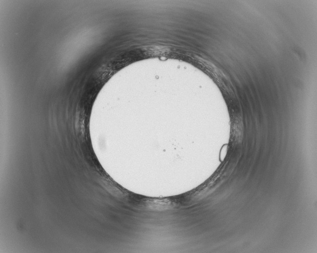 X0000115360525200912151400
