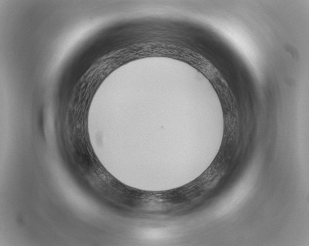 X0000115360526200912151400