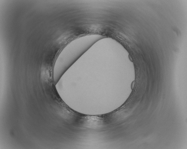 X0000115360528200912151400