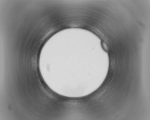 X0000115360530200912151359