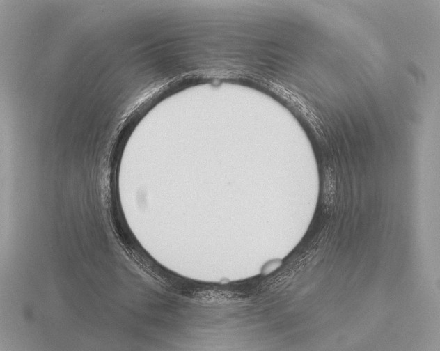 X0000115360535200912151359