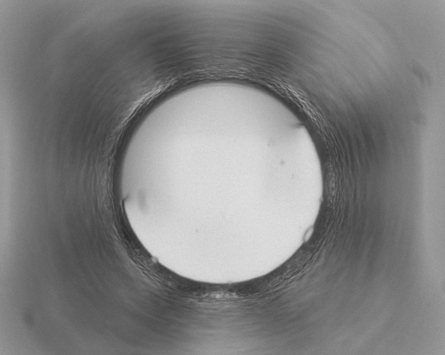 X0000115360543200912151400