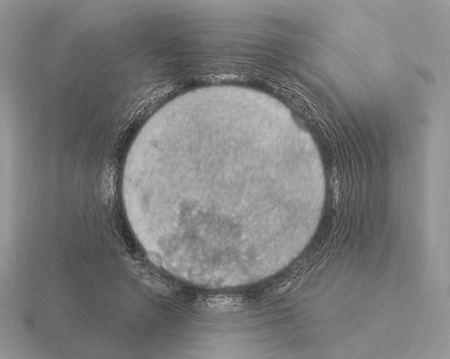 X0000115360546200912151400
