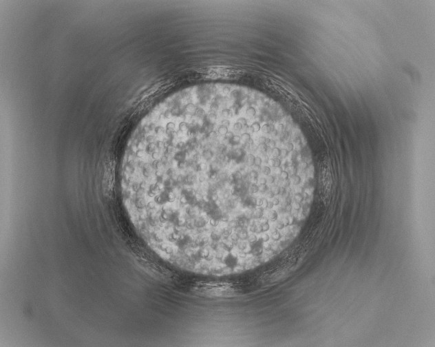 X0000115360554200912151400