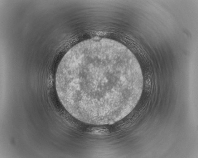 X0000115360555200912151400
