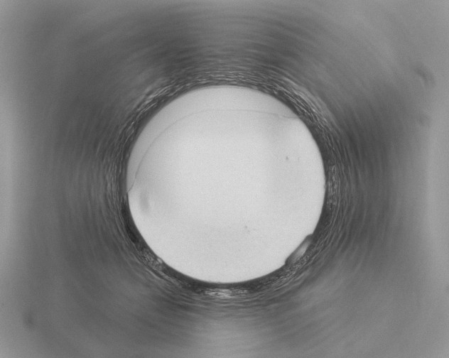 X0000115360558200912151400