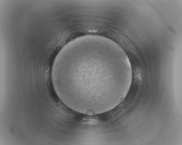 X0000115360559200912151400