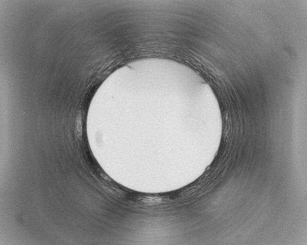X0000115360562200912151400