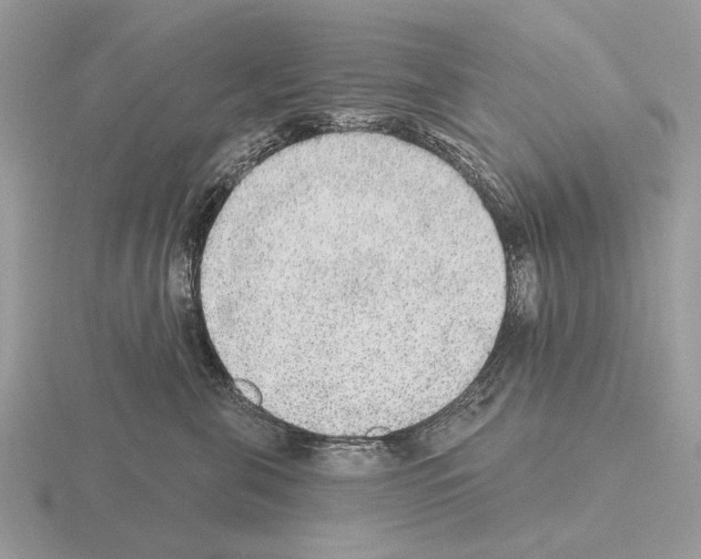X0000115360571200912151400