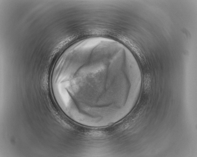 X0000115360581200912151359