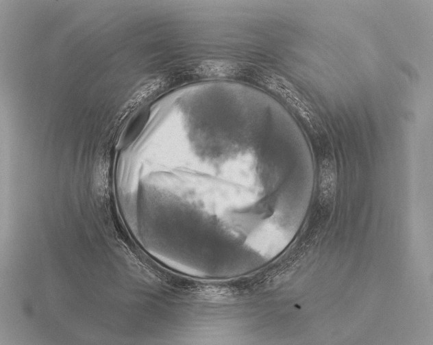 X0000115360585200912151359