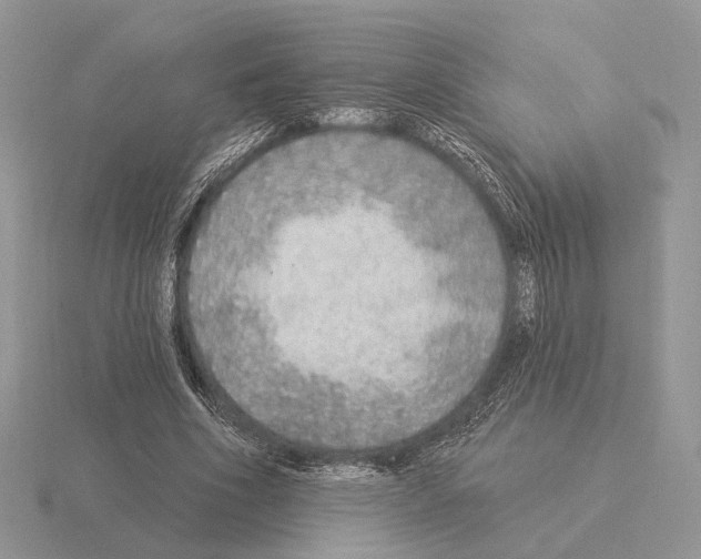 X0000115360586200912151359