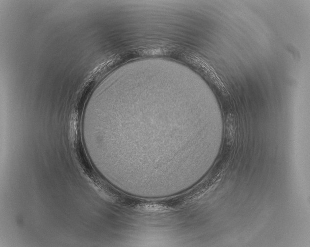 X0000115360590200912151359
