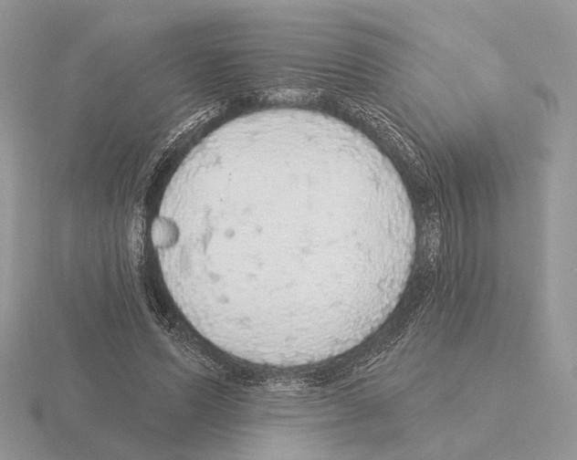 X0000115360591200912151359