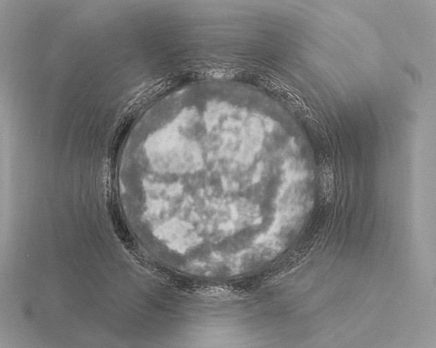 X0000115360594200912151359