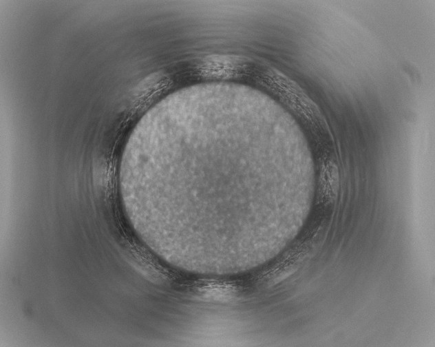 X0000115360601200912151359
