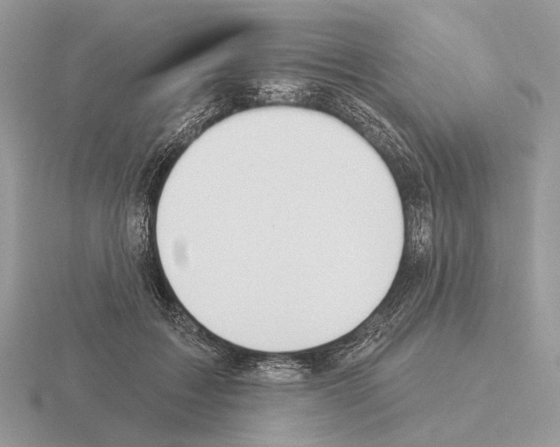 X0000115360603200912151359