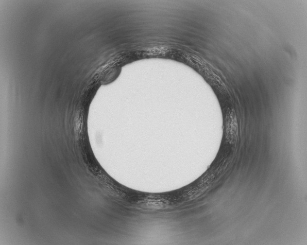 X0000115360608200912151359