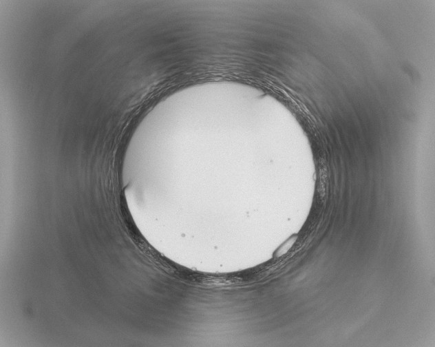 X0000115360613200912151359