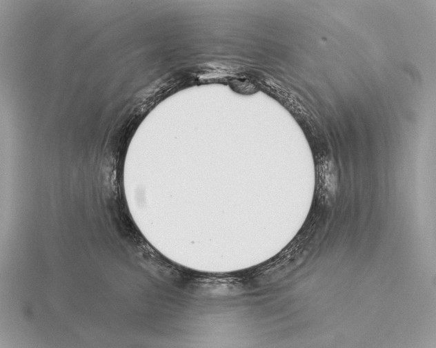 X0000115360615200912151359