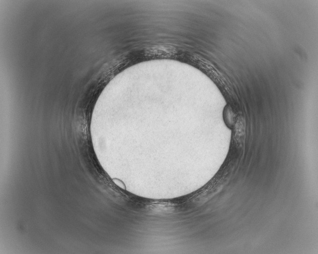 X0000115360617200912151359