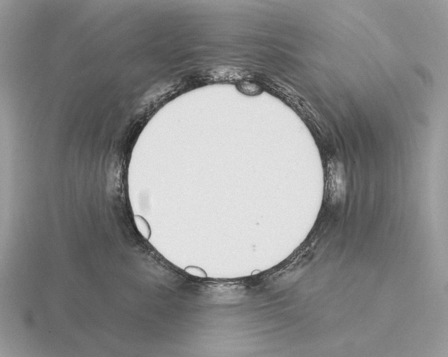 X0000115360619200912151359