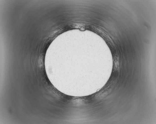 X0000115360620200912151359